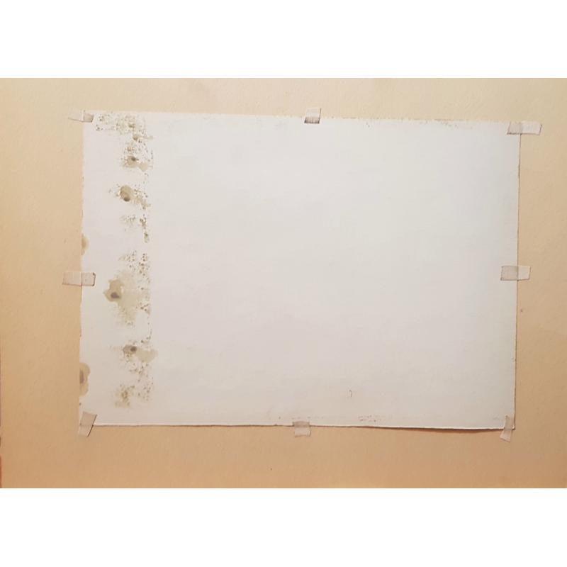 Маторин М.В. Горький. Белая башня