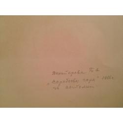 Дехтерева Т.А. Воробьевы горы