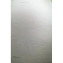 Пискарева А.Н. Площадь Ногина