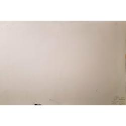 Пискарева А.Н. Разделка рыбы