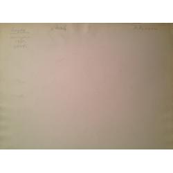 Витинг Н.И. Борец