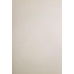 Витинг Н.И. Гитара