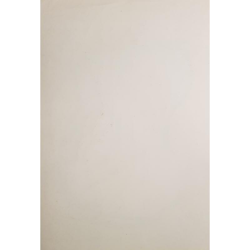 Витинг Н.И. Гитара