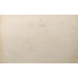 Витинг Н.И. Лаборантка