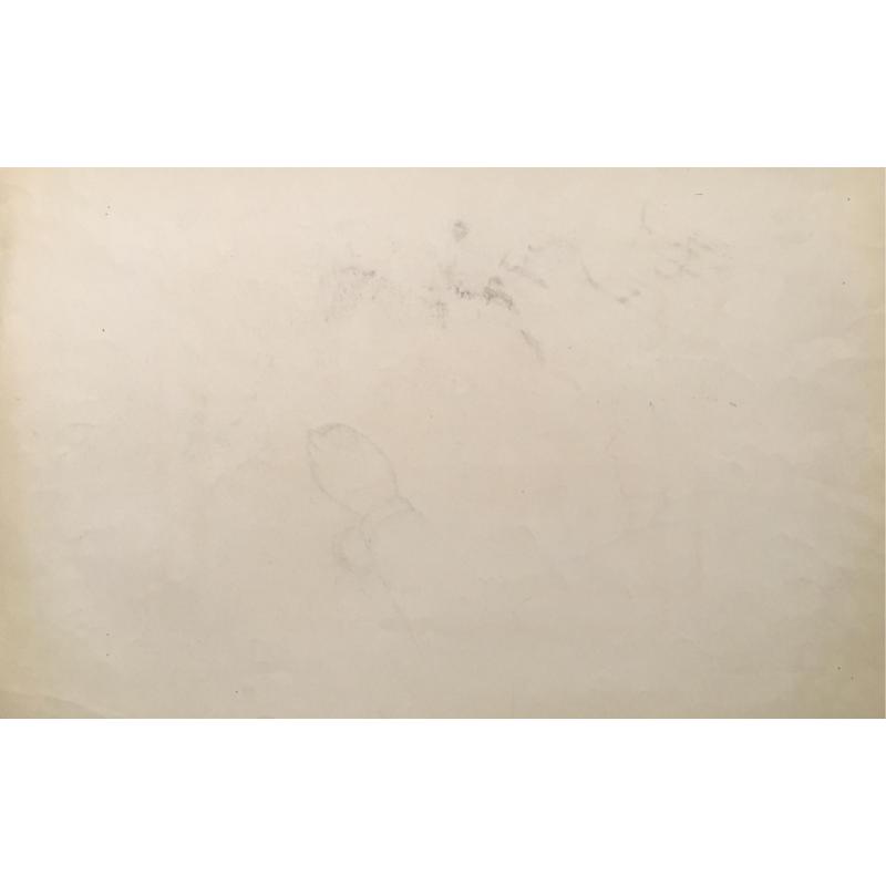 Витинг Н.И. Лаборантка