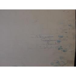 Зеброва Т.А. Медведь