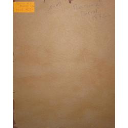 Пускин Д.И. Пионы