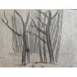 Гончаров А.Д. Деревья