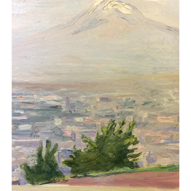 Гагашьян А.О. Смотровая площадка на гору Арарат