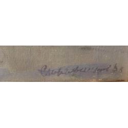 Стрельников В.В. Вид Кремля