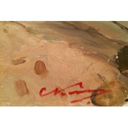 Каманин С.М. На Волге