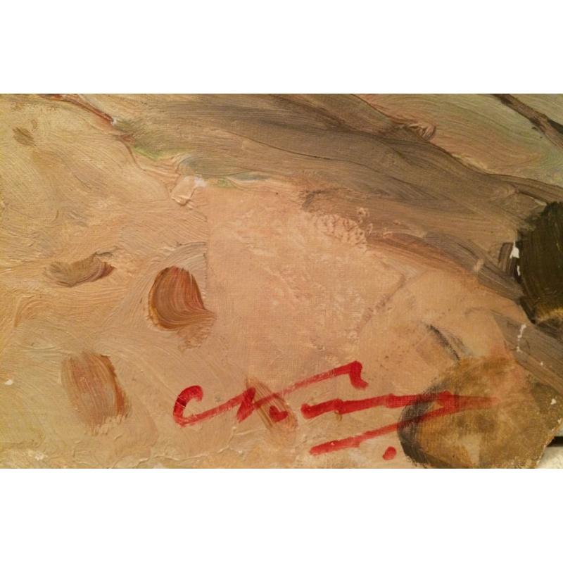 Каманин С.М. На Волге