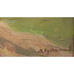 Суздальцев М.А. Летом